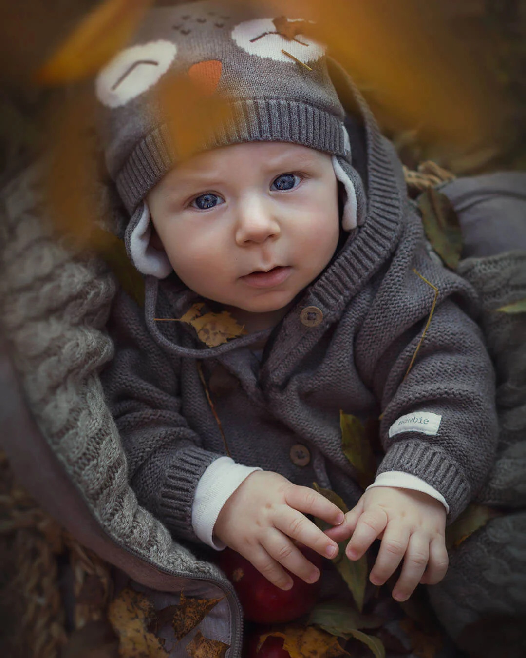 Barnfotografering - höstporträtt. höstfotografering. Porträtt av en pojke med grå stickade kläder och uggla på mössan. Barnfoto Sala. Barnfotografering i Sala. Children's photography - autumn portrait. autumn photography. Portrait of a boy with gray knitted clothes and owl on the hat.
